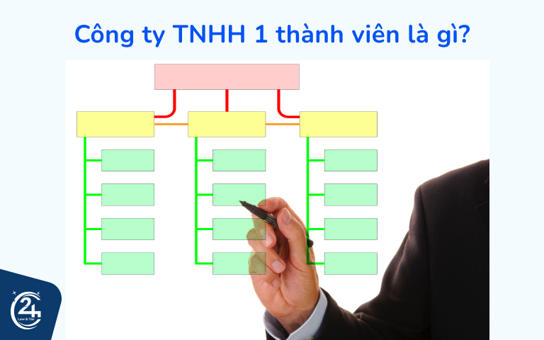 công ty tnhh 1 thành viên là gì